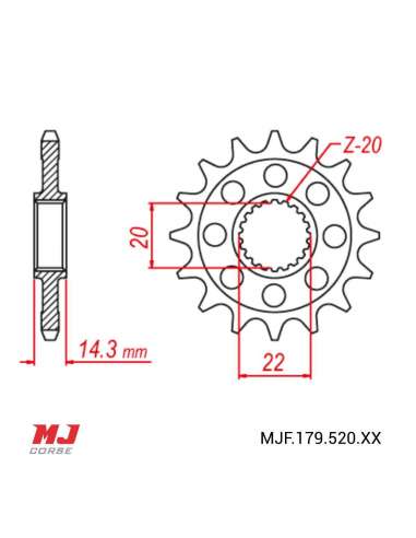 Pignon compatible avec BMW G 310 R 2016-2022