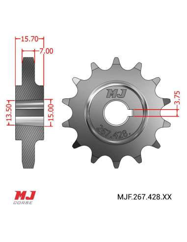 Pignon compatible avec ISO 125 Modelo C