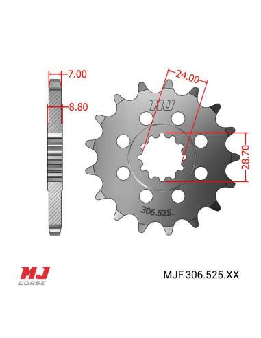 Pignon compatible avec Kawasaki H2 R